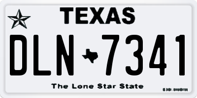 TX license plate DLN7341