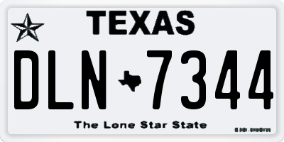 TX license plate DLN7344