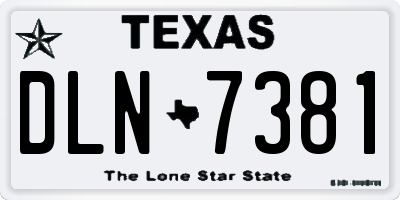 TX license plate DLN7381