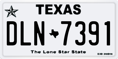 TX license plate DLN7391