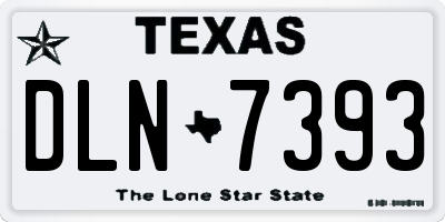 TX license plate DLN7393
