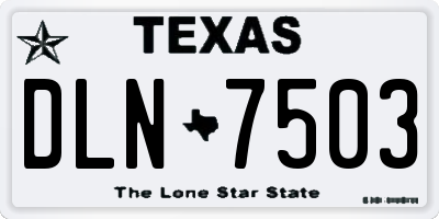 TX license plate DLN7503