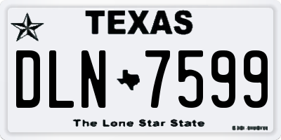 TX license plate DLN7599