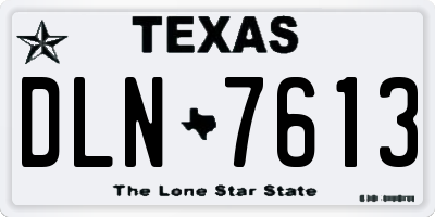TX license plate DLN7613