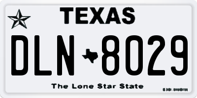TX license plate DLN8029