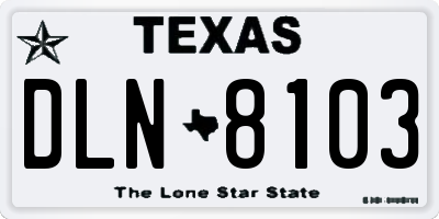 TX license plate DLN8103