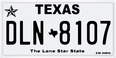 TX license plate DLN8107