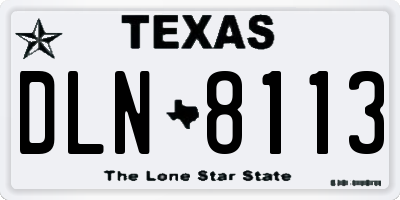 TX license plate DLN8113