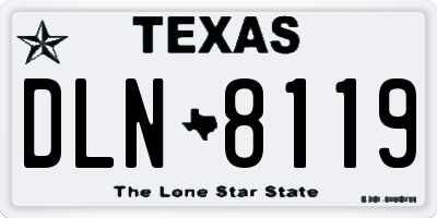 TX license plate DLN8119