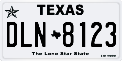 TX license plate DLN8123