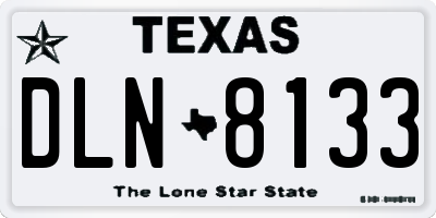 TX license plate DLN8133