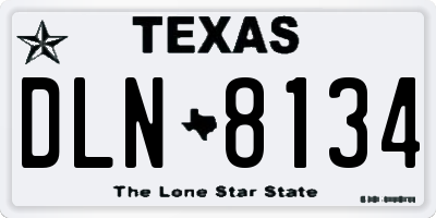 TX license plate DLN8134