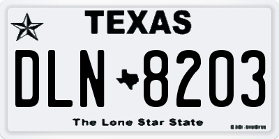 TX license plate DLN8203