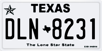 TX license plate DLN8231