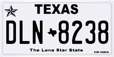 TX license plate DLN8238