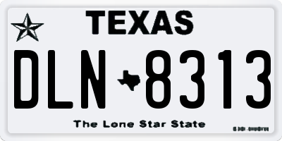 TX license plate DLN8313