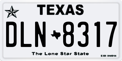 TX license plate DLN8317