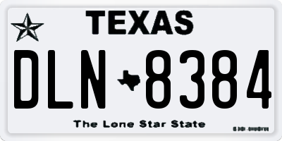 TX license plate DLN8384