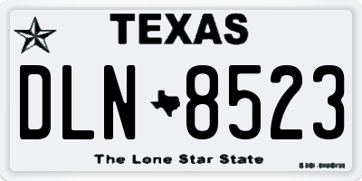 TX license plate DLN8523