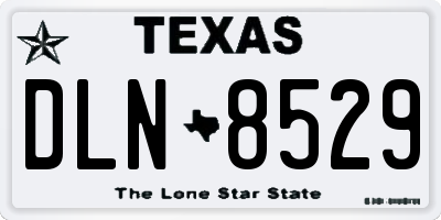 TX license plate DLN8529