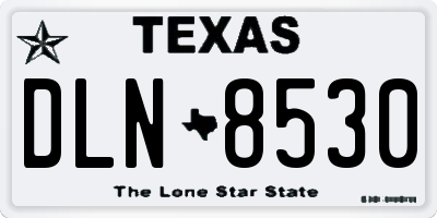 TX license plate DLN8530