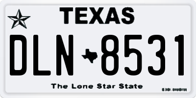 TX license plate DLN8531