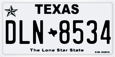 TX license plate DLN8534