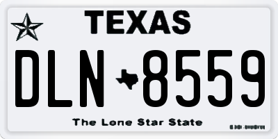 TX license plate DLN8559