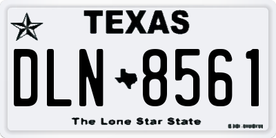 TX license plate DLN8561