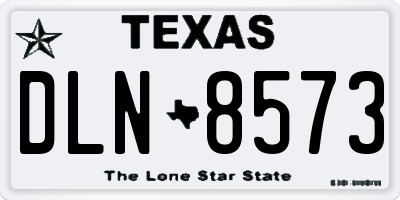 TX license plate DLN8573