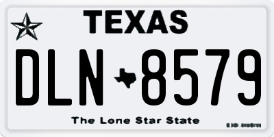 TX license plate DLN8579