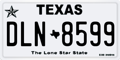 TX license plate DLN8599