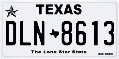TX license plate DLN8613