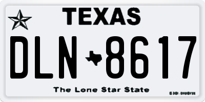 TX license plate DLN8617