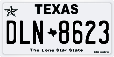 TX license plate DLN8623