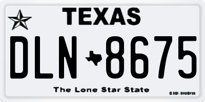 TX license plate DLN8675