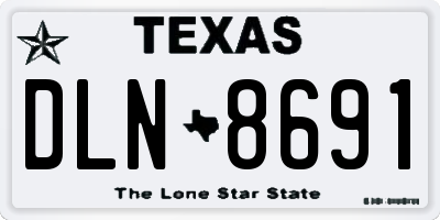 TX license plate DLN8691