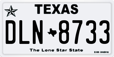 TX license plate DLN8733