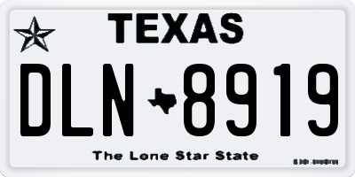 TX license plate DLN8919