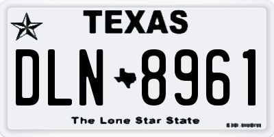 TX license plate DLN8961