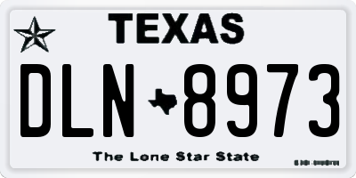 TX license plate DLN8973