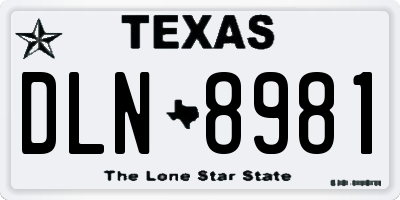 TX license plate DLN8981