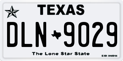 TX license plate DLN9029