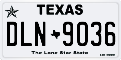 TX license plate DLN9036