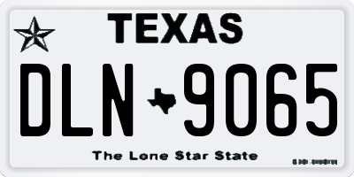 TX license plate DLN9065