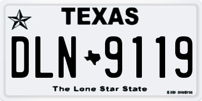 TX license plate DLN9119