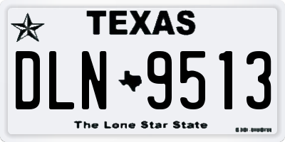 TX license plate DLN9513