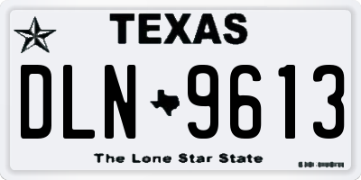 TX license plate DLN9613