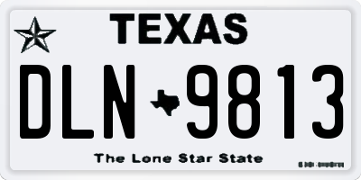 TX license plate DLN9813