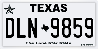 TX license plate DLN9859